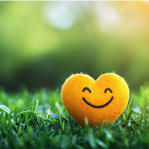Pause – Reset – Nourish (PRN) to Promote Wellbeing